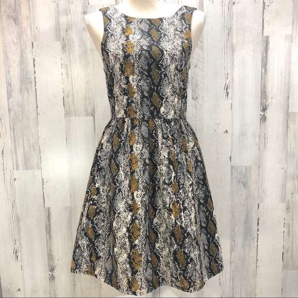 Everly Dresses & Skirts - Everly Snake Print Back Zip Dress Size size Small
